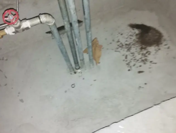 调兵山卫生间测漏水价格明细